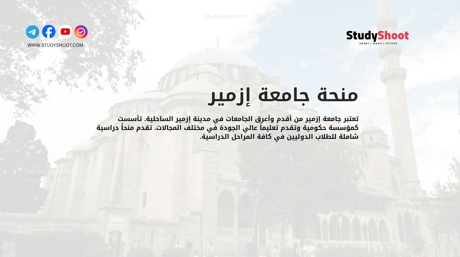 منحة جامعة إزمير