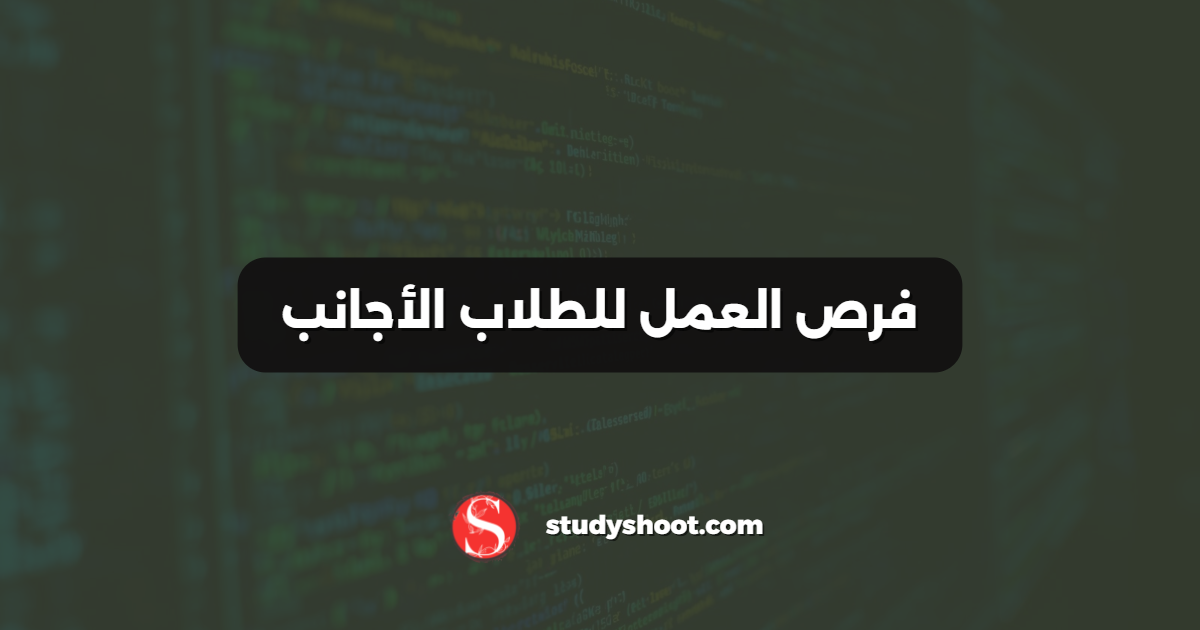 فرص العمل للطلاب الأجانب