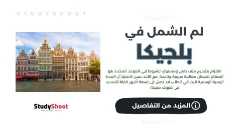 لم الشمل في بلجيكا: شروط الطلب والمدة الزمنية والرسوم