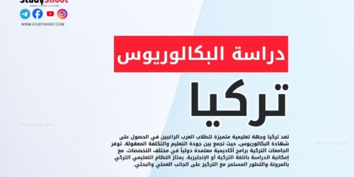 دراسة البكالوريوس في تركيا