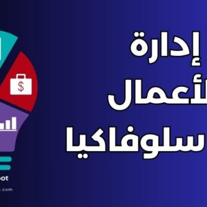 دراسة إدارة الأعمال في سلوفاكيا: دليل شامل لـ 12 جامعة وشروط القبول