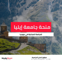 منحة جامعة إيليا الحكومية