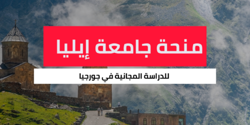 منحة جامعة إيليا الحكومية