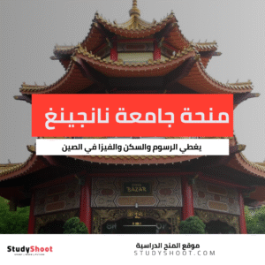 منحة جامعة نانجينغ للمعلمين