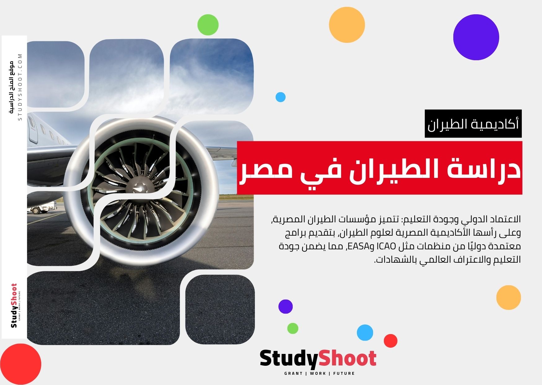 <strong>أبرز محاور دراسة الطيران في مصر</strong>