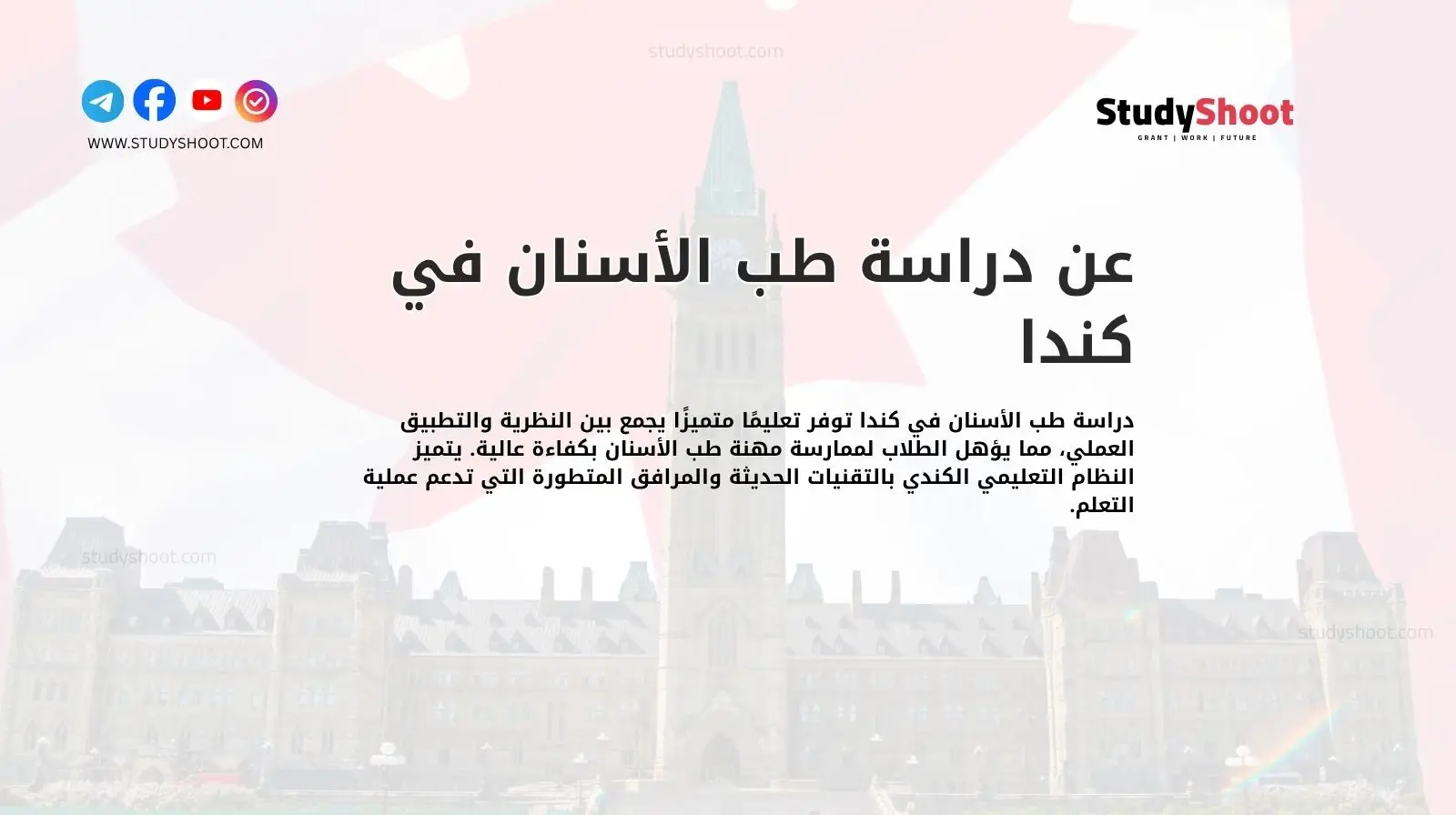 عن دراسة طب الأسنان في كندا