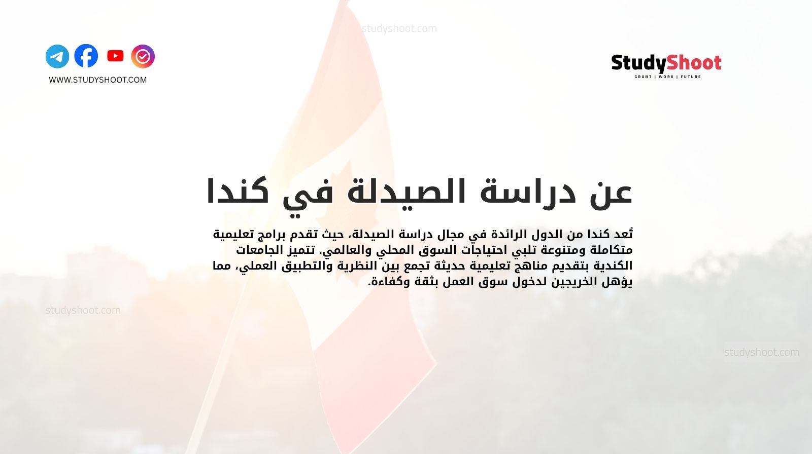 عن دراسة الصيدلة في كندا