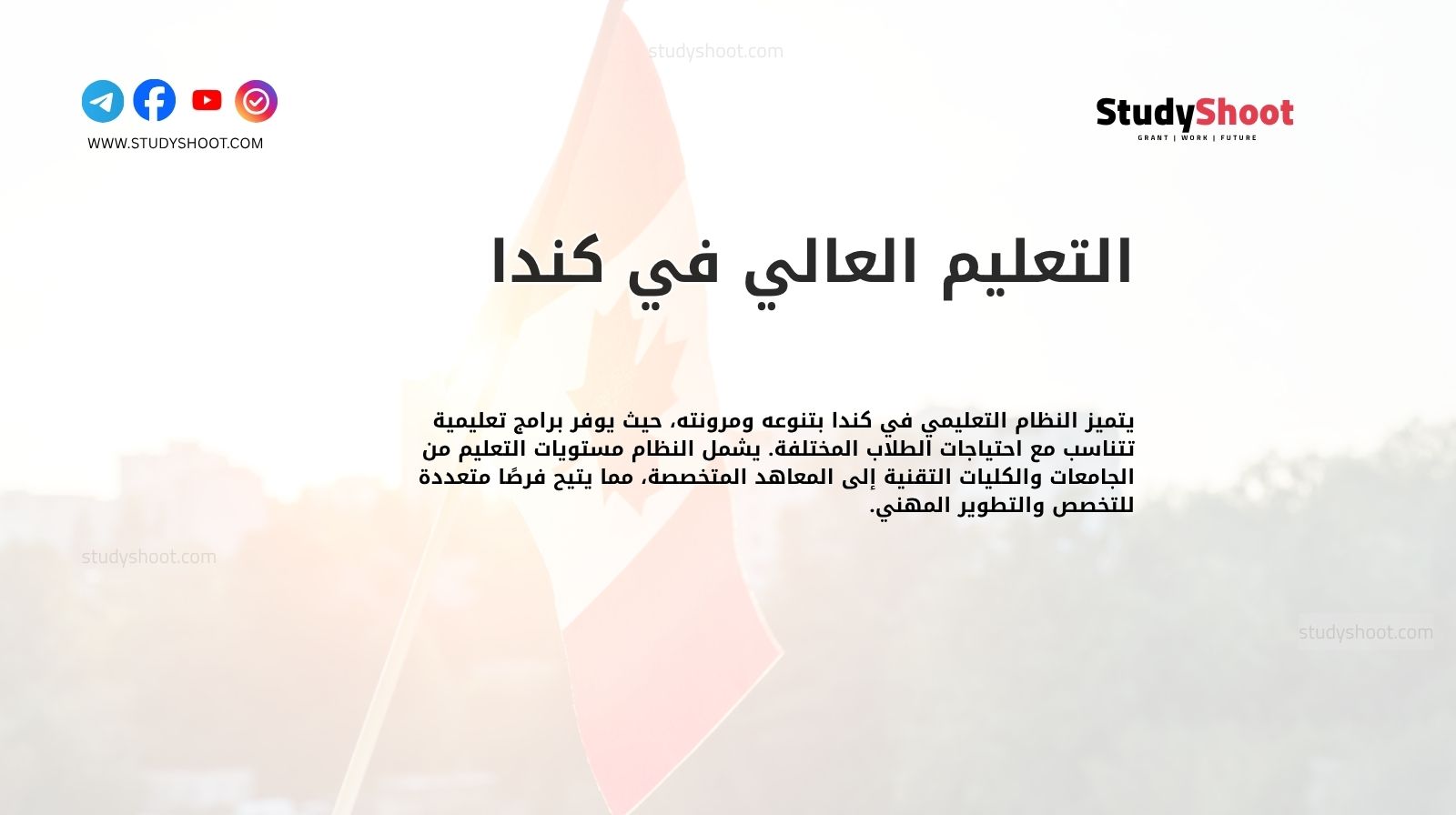 التعليم العالي في كندا