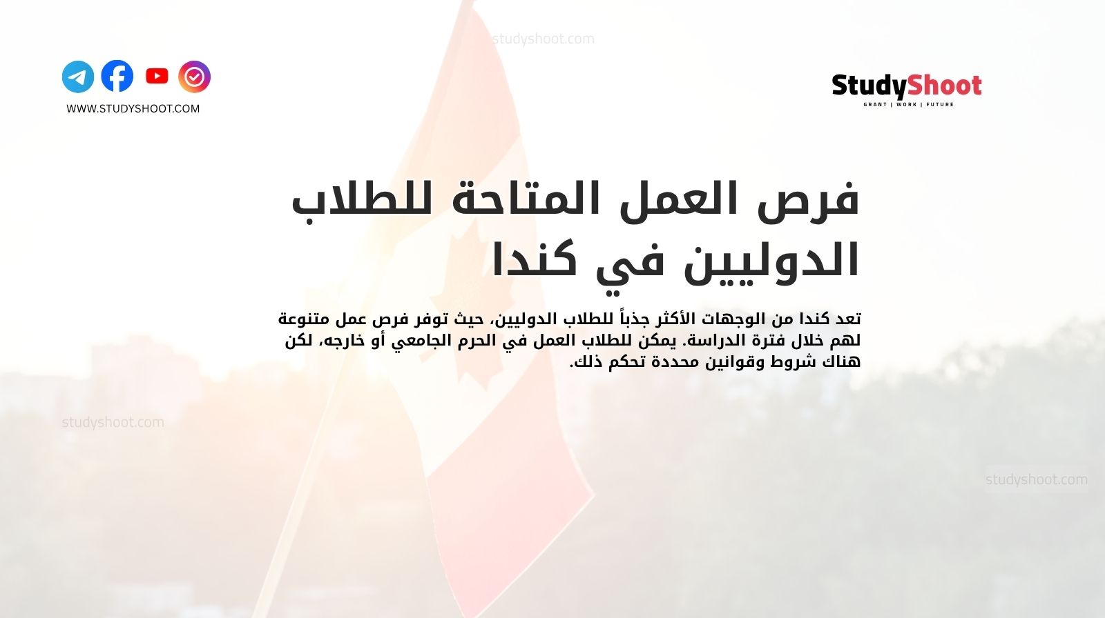 فرص العمل المتاحة للطلاب الدوليين في كندا