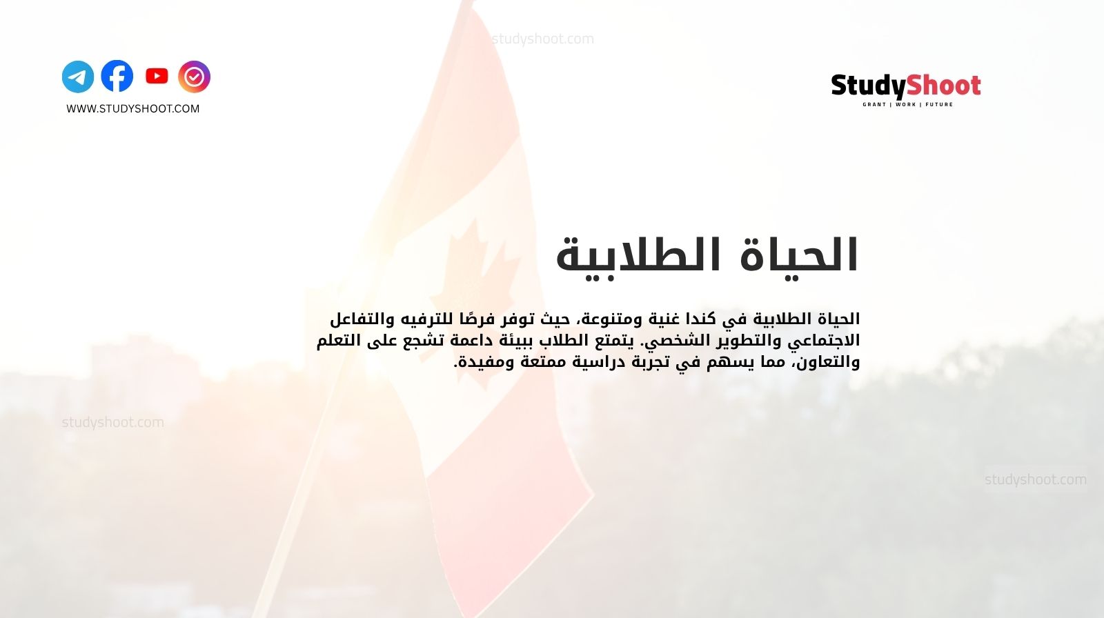 الحياة الطلابية