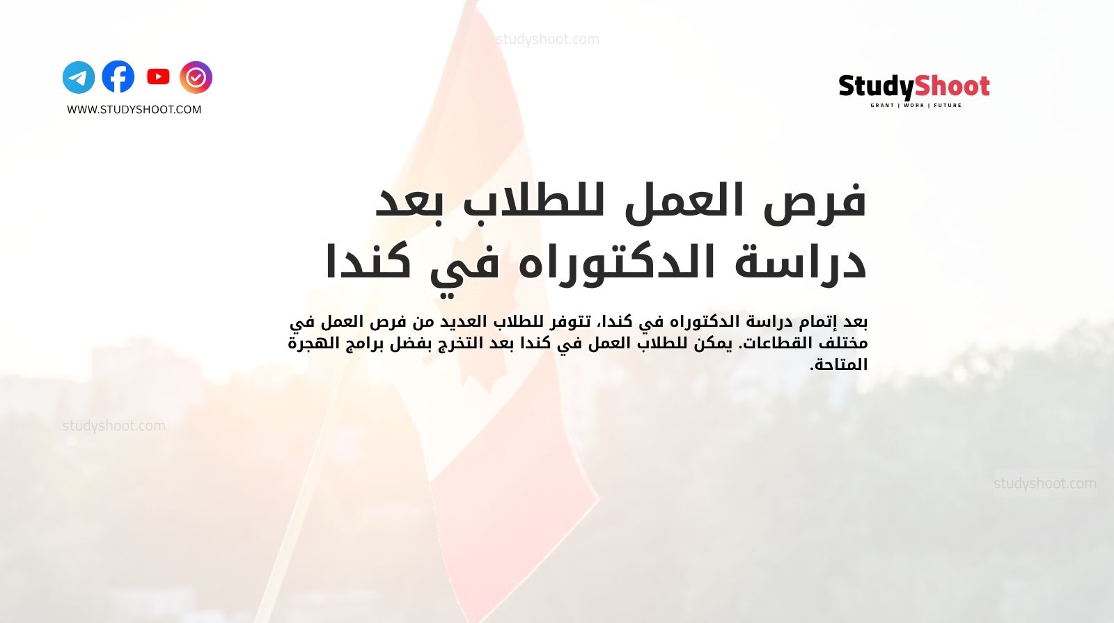 فرص العمل للطلاب بعد دراسة الدكتوراه في كندا