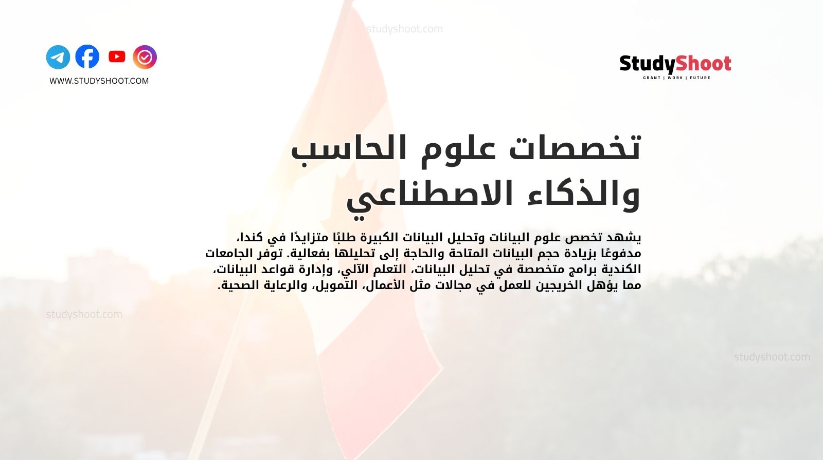 تخصصات علوم الحاسب والذكاء الاصطناعي