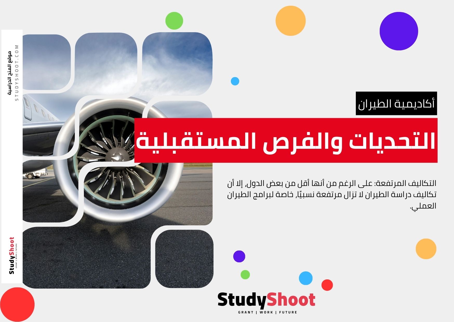 <strong>التحديات والفرص المستقبلية</strong>