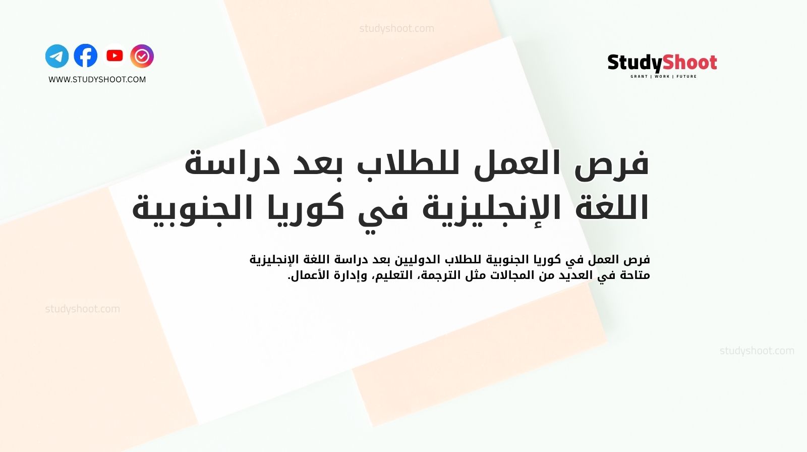 فرص العمل للطلاب بعد دراسة اللغة الإنجليزية في كوريا الجنوبية