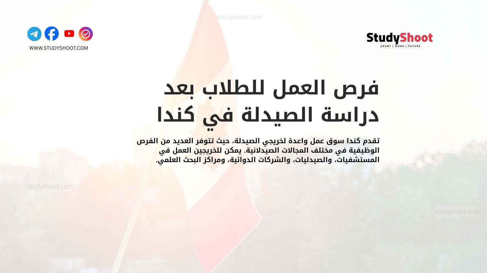 فرص العمل للطلاب بعد دراسة الصيدلة في كندا