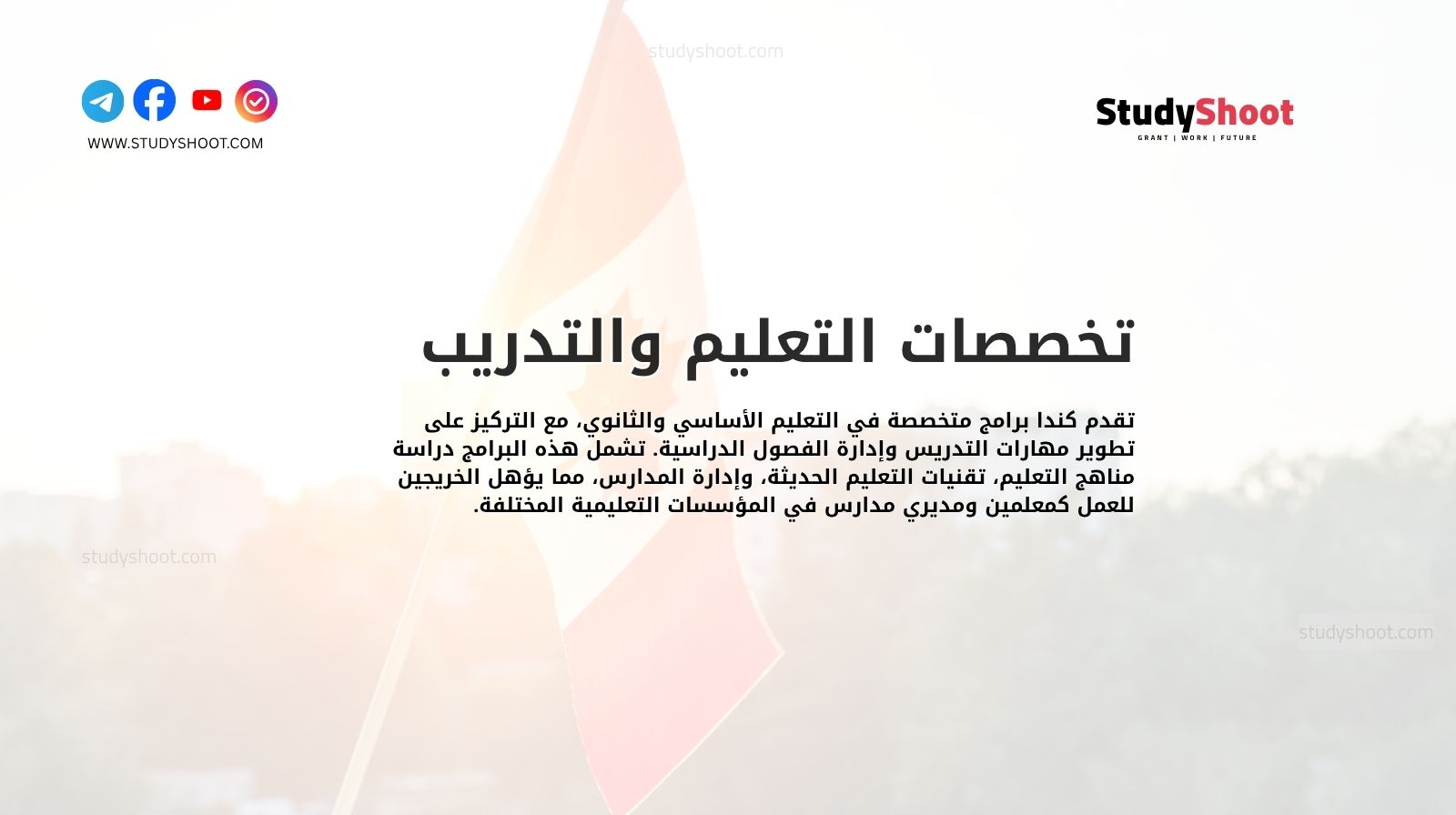 تخصصات التعليم والتدريب