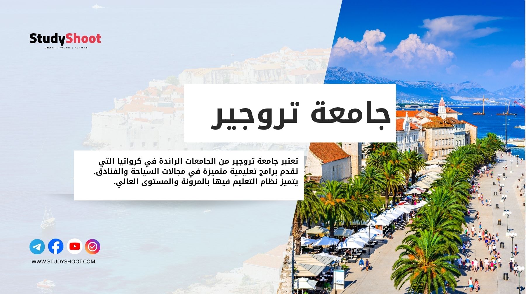 جامعة تروجير