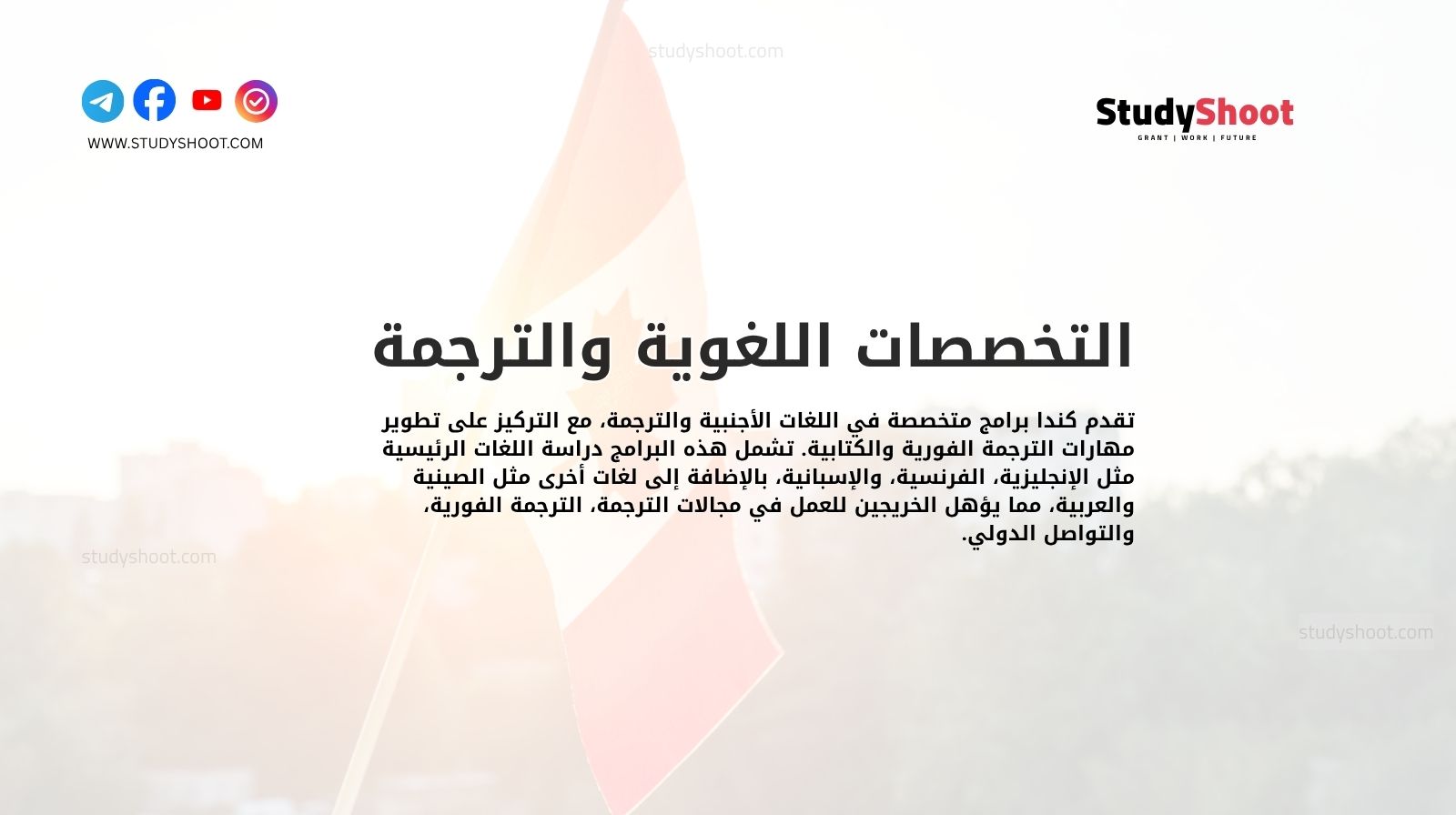 التخصصات اللغوية والترجمة