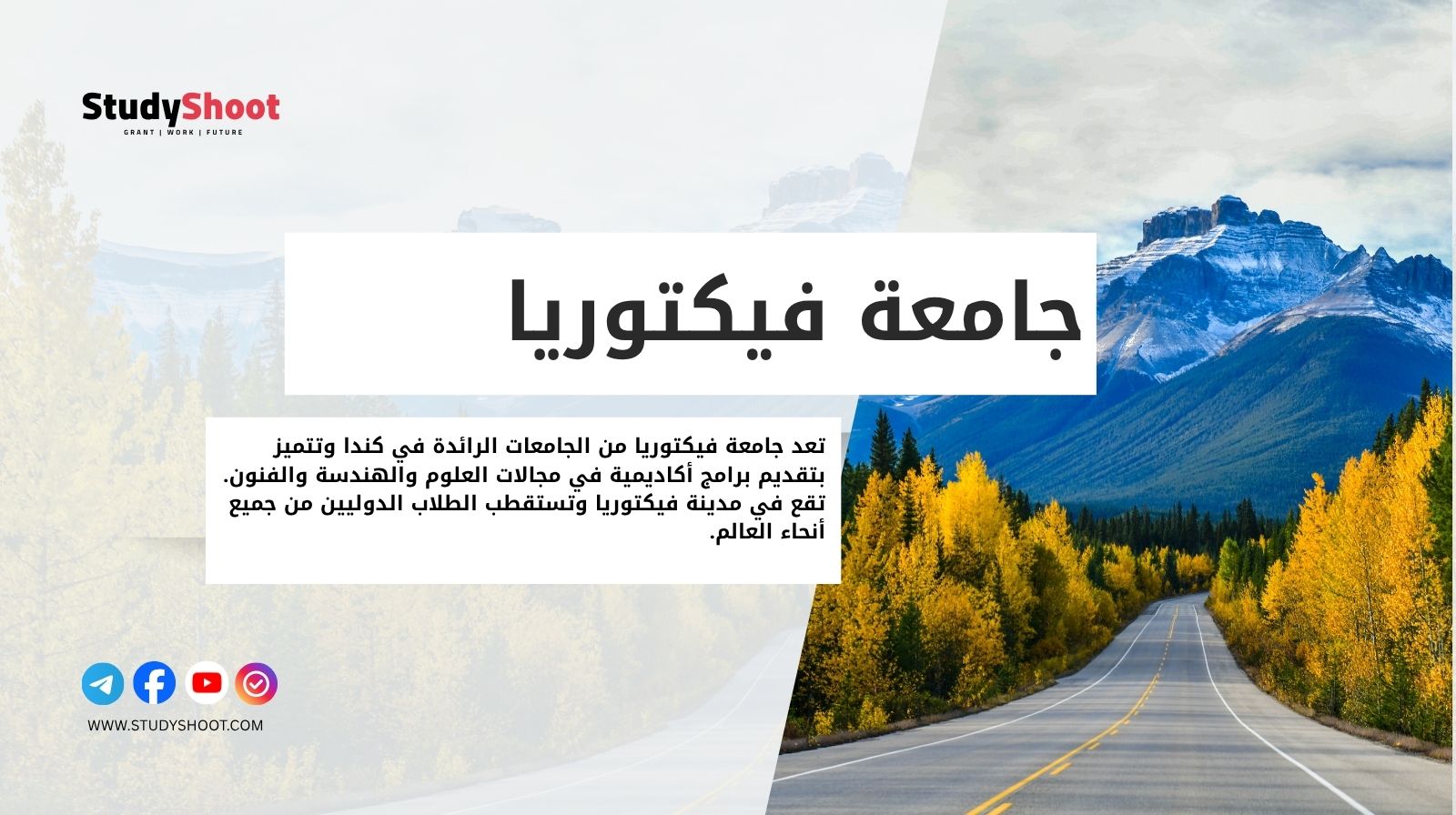 جامعة فيكتوريا