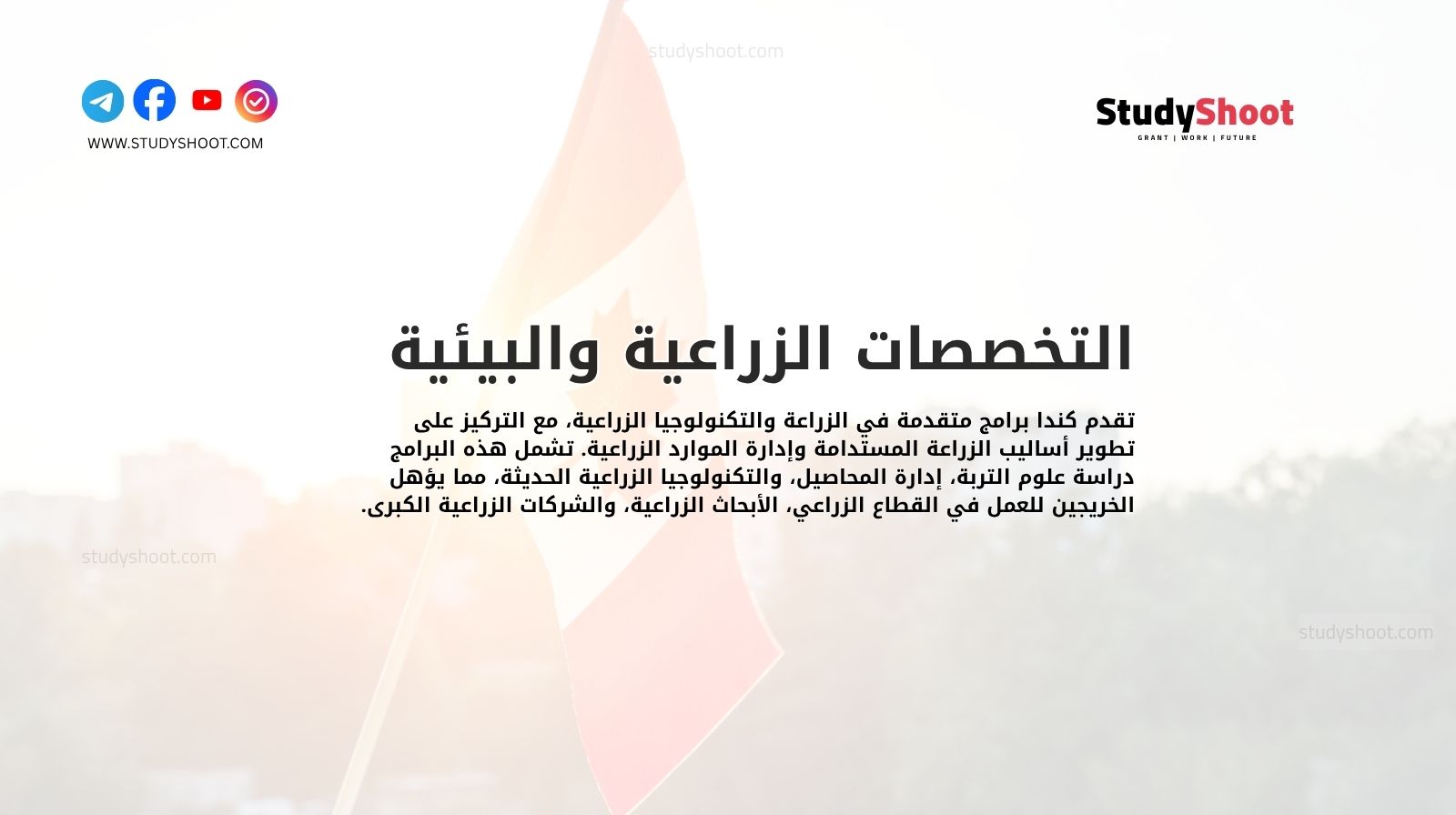 التخصصات الزراعية والبيئية