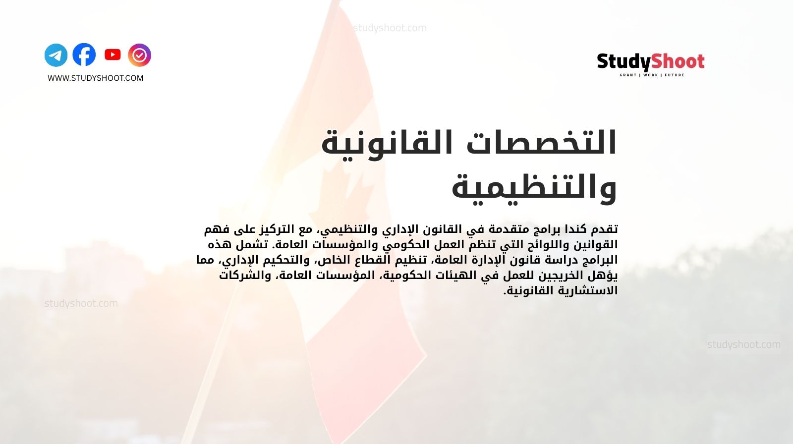 التخصصات القانونية والتنظيمية