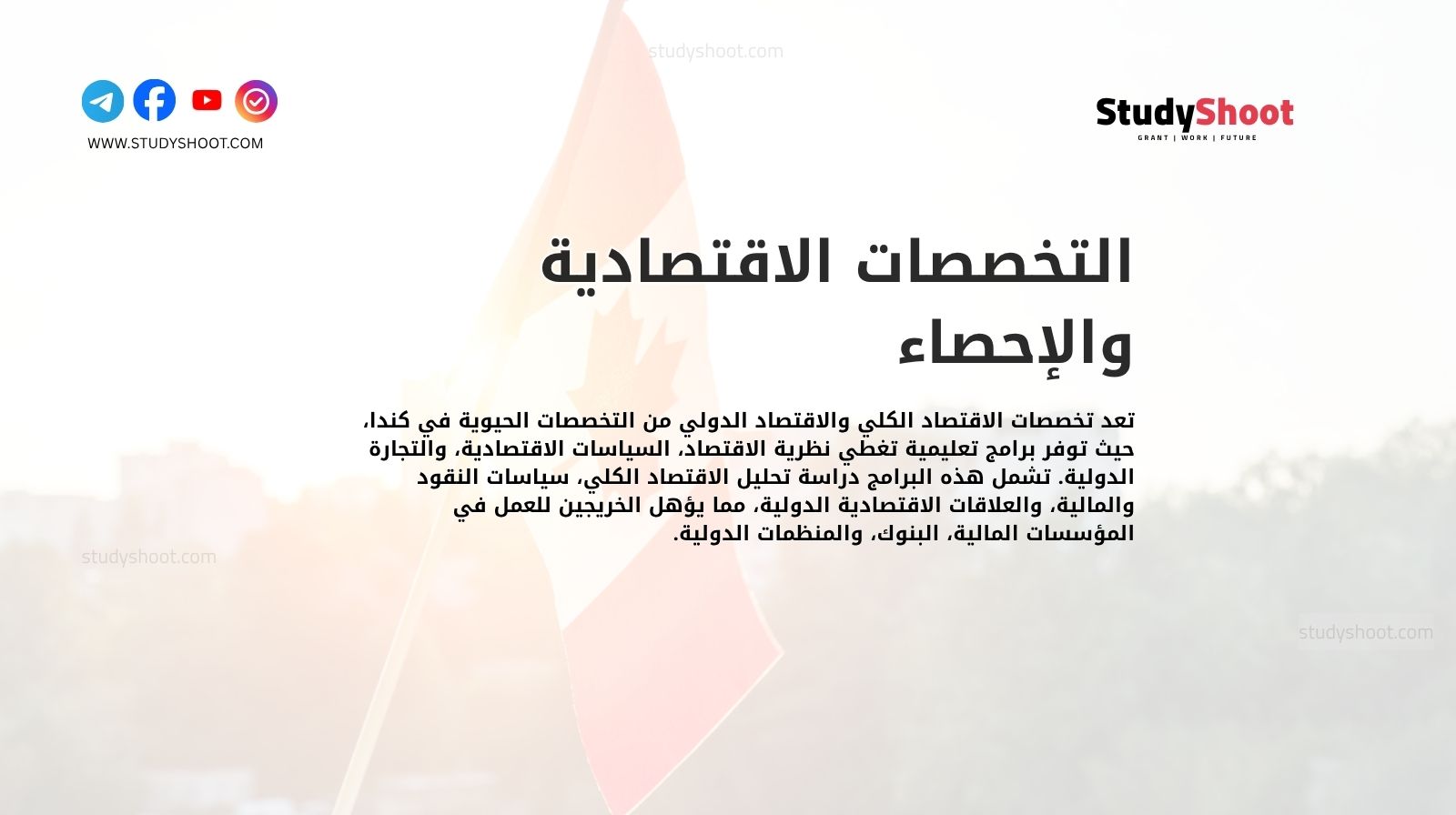 التخصصات الاقتصادية والإحصاء