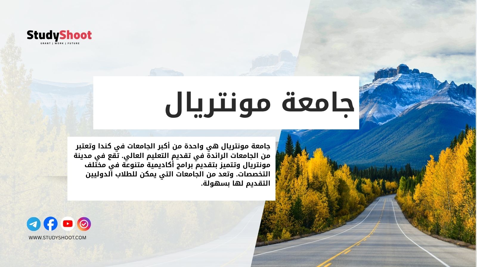 جامعة مونتريال