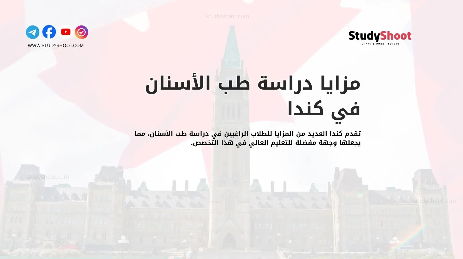 مزايا دراسة طب الأسنان في كندا