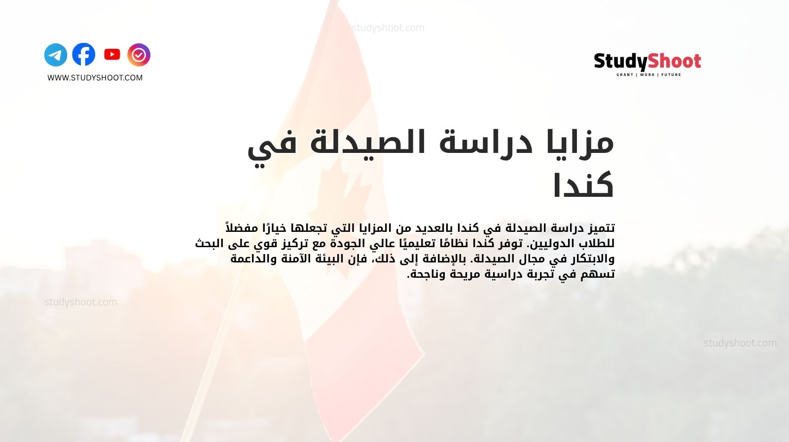 مزايا دراسة الصيدلة في كندا