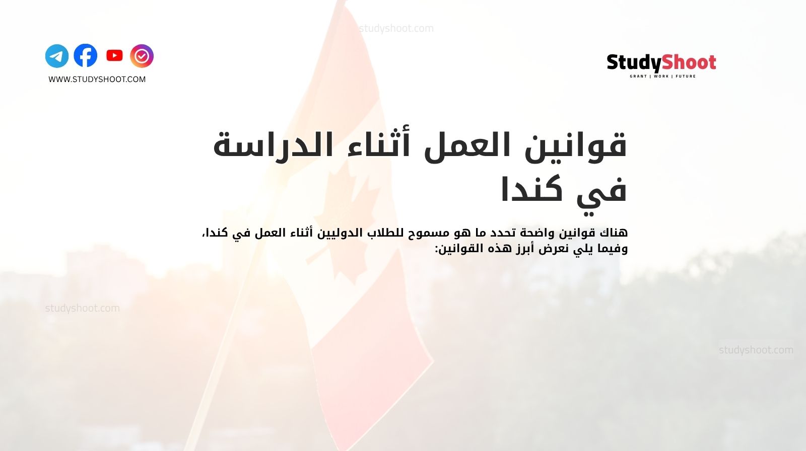 قوانين العمل أثناء الدراسة في كندا