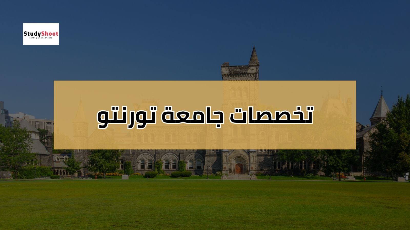 تخصصات جامعة تورنتو