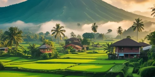 جامعة بينوس