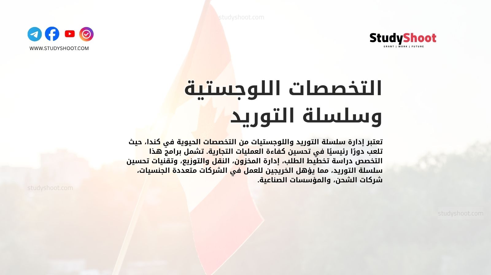 التخصصات اللوجستية وسلسلة التوريد