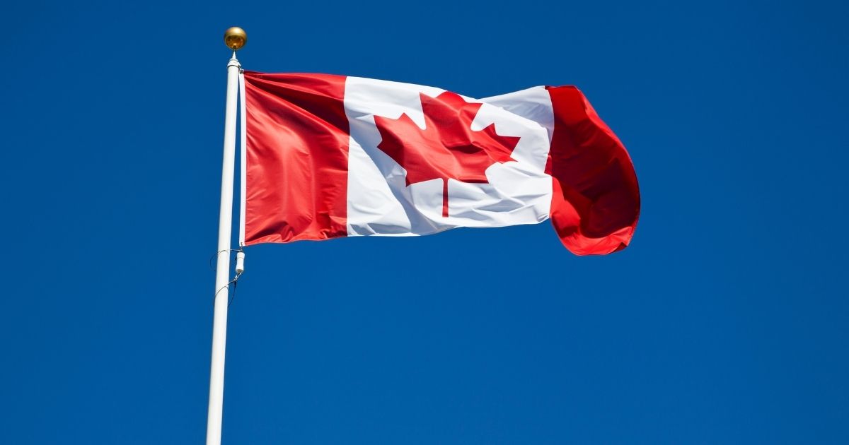 كيفية التقديم لبرنامج نيو برونزويك؟