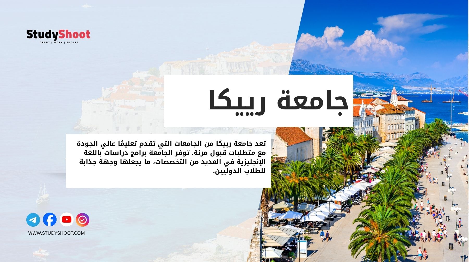 جامعة رييكا