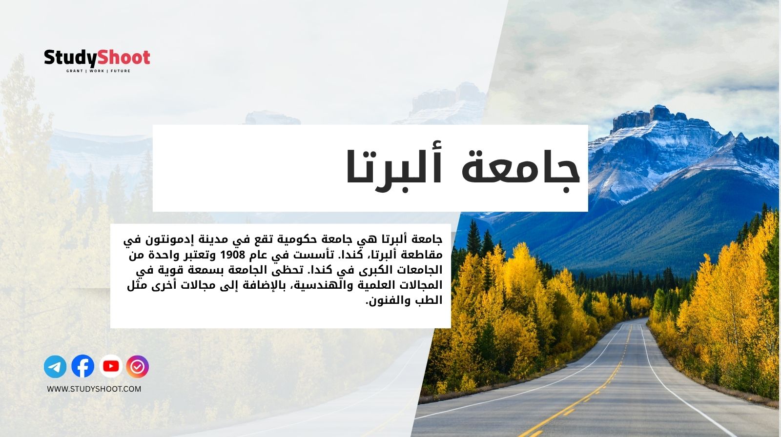 جامعة ألبرتا