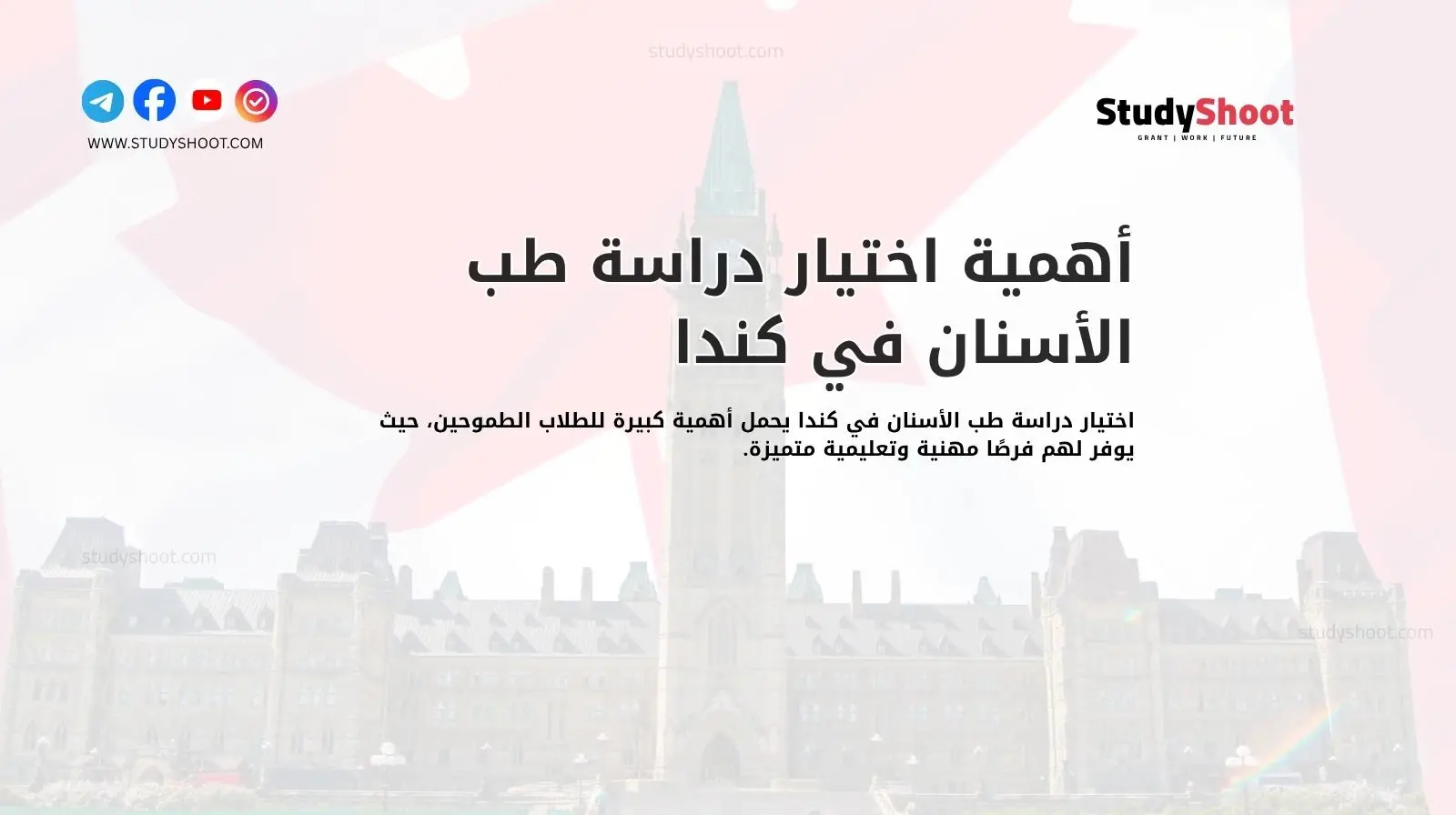 أهمية اختيار دراسة طب الأسنان في كندا