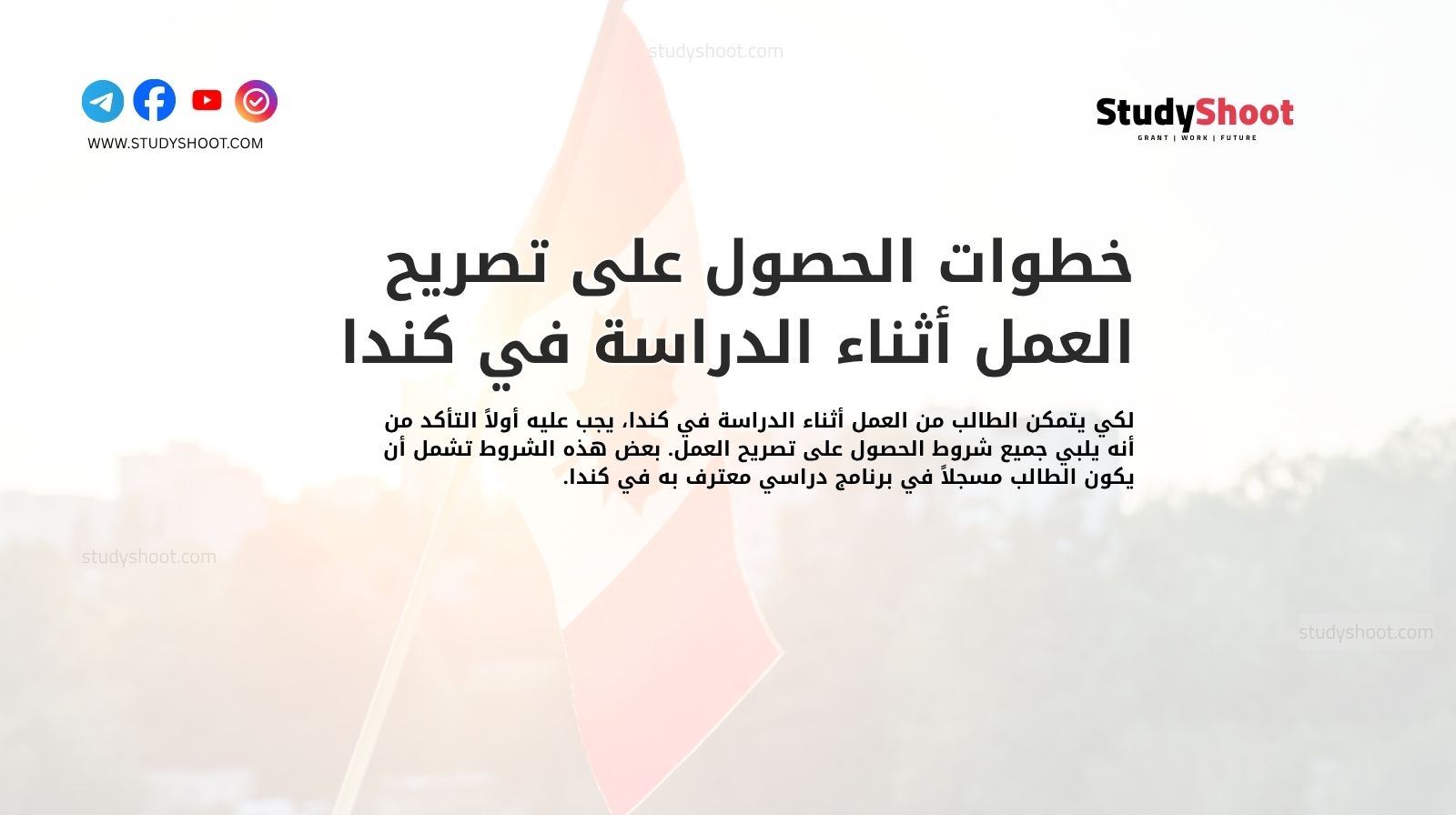 خطوات الحصول على تصريح العمل أثناء الدراسة في كندا