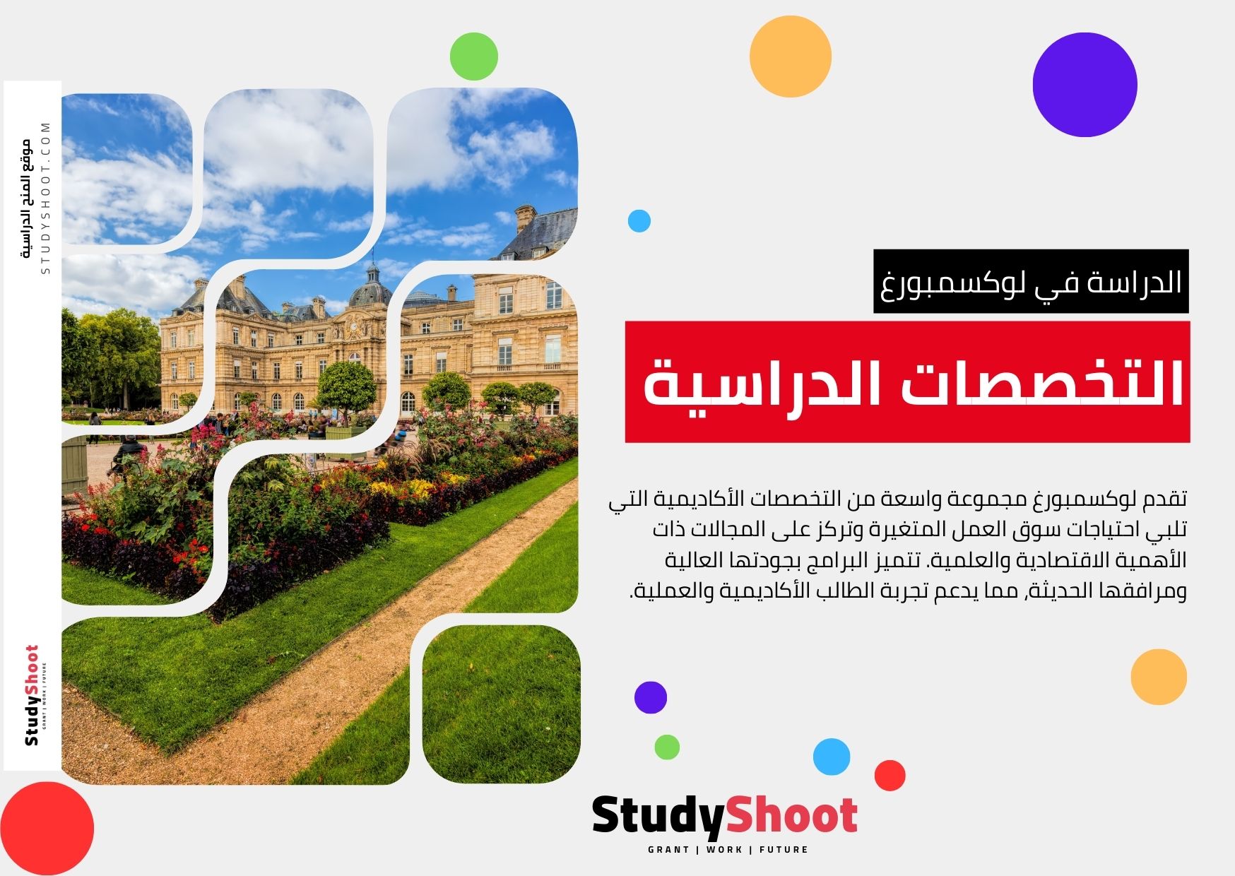 التخصصات الدراسية في لوكسمبورغ