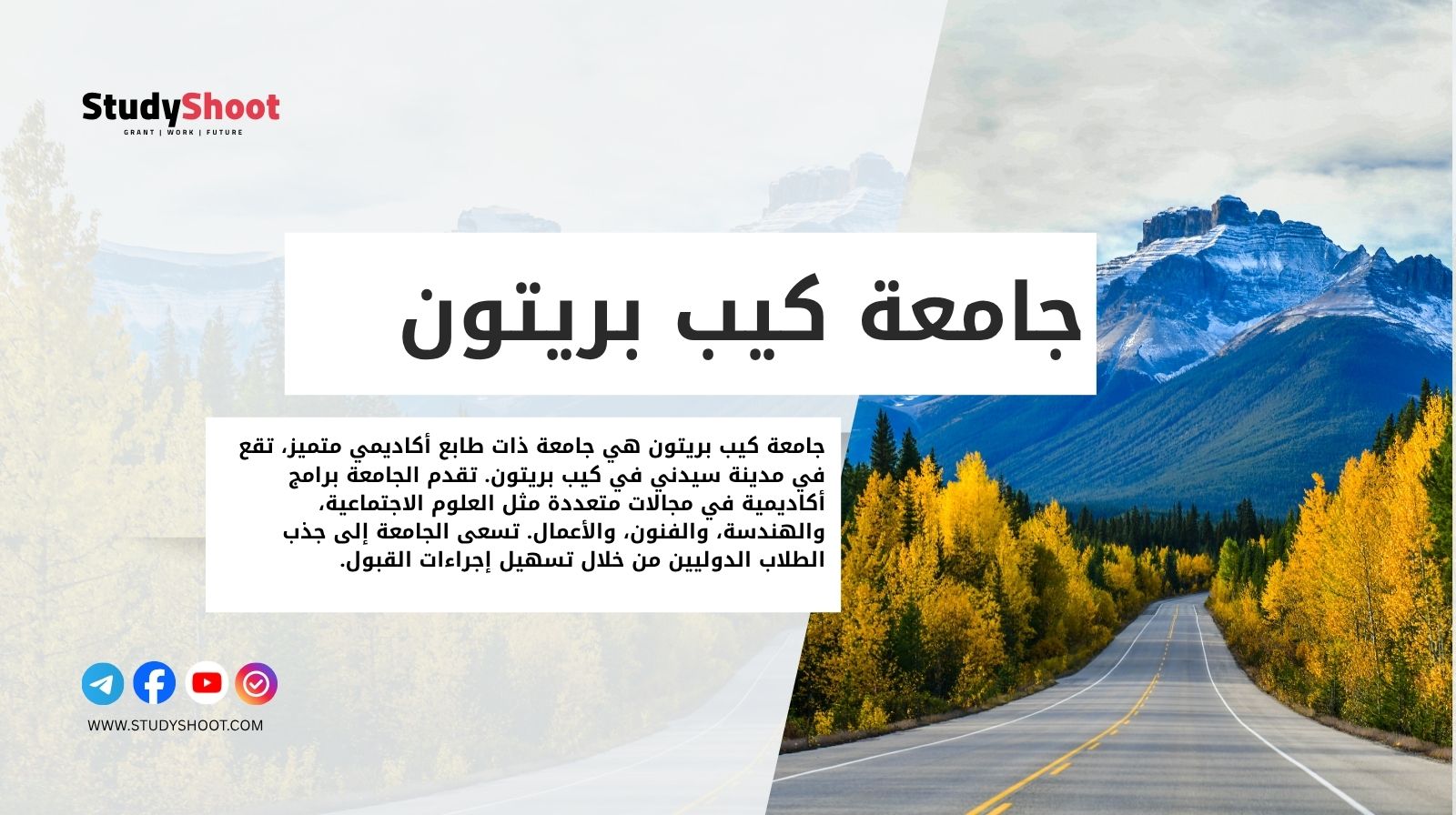 جامعة كيب بريتون