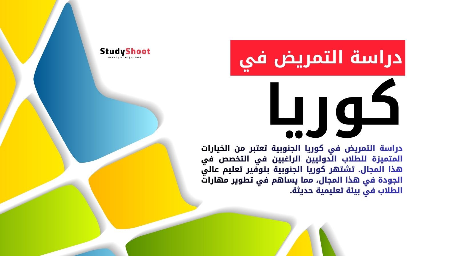 دراسة التمريض في كوريا الجنوبية