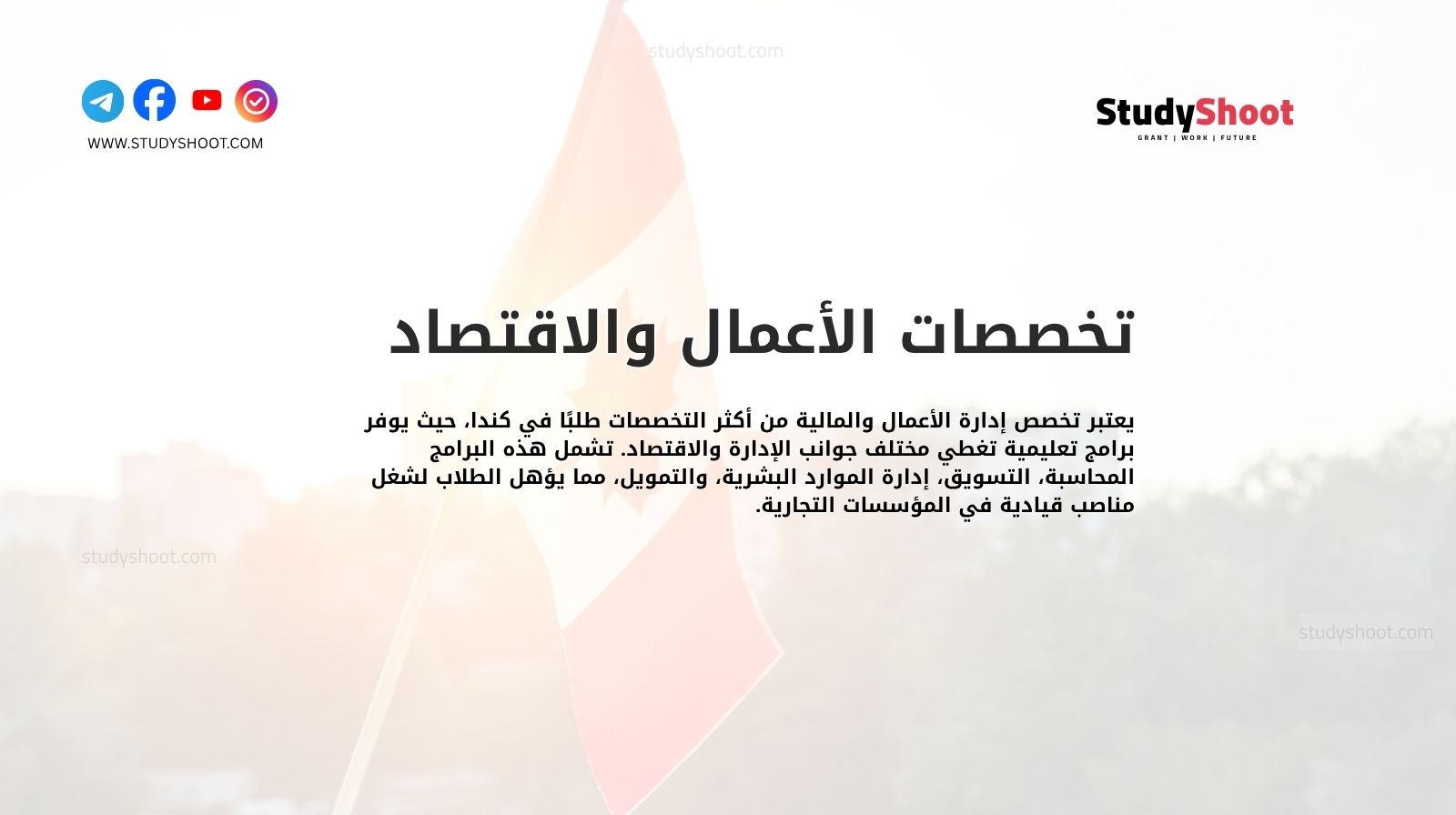 تخصصات الأعمال والاقتصاد