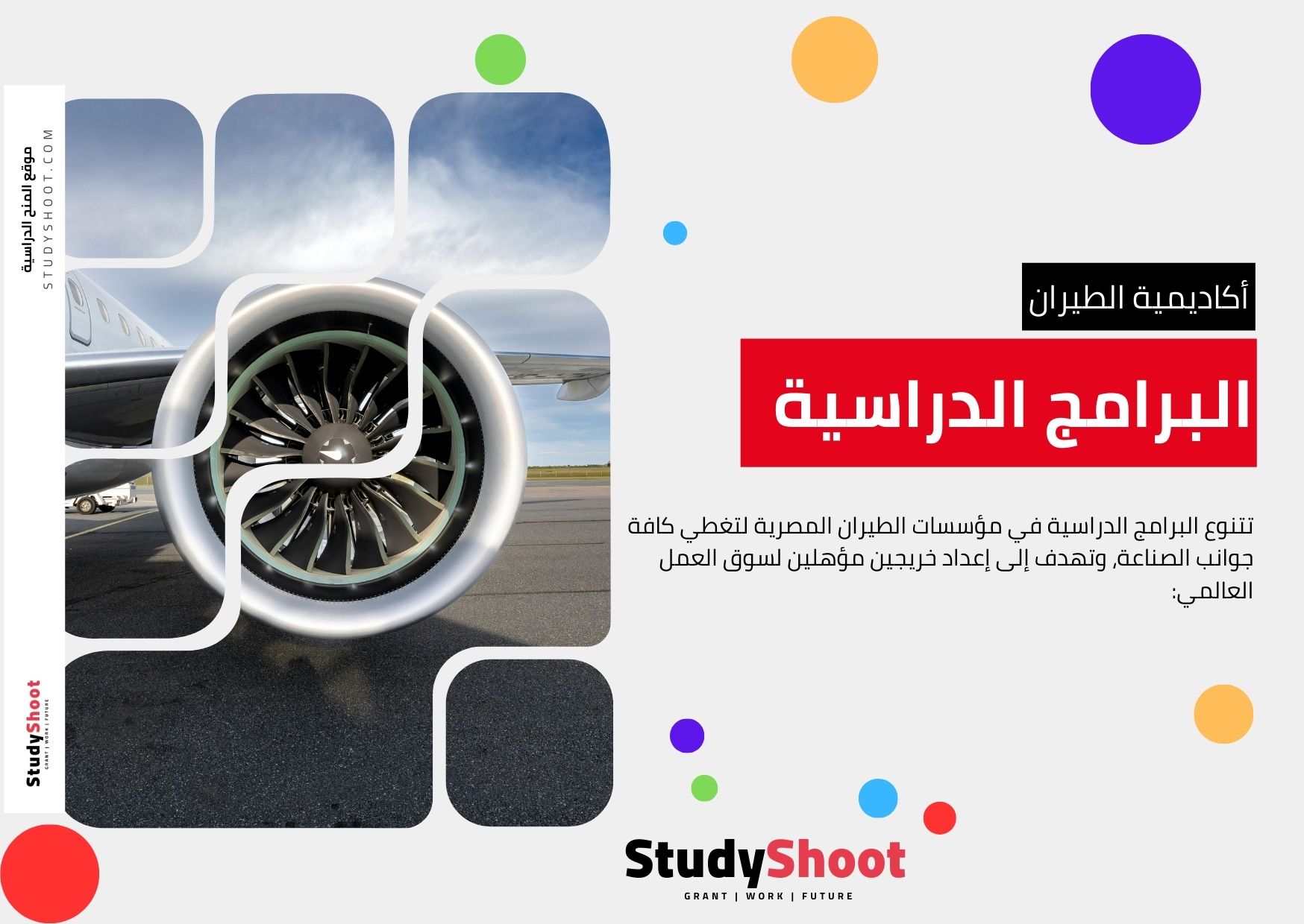 <strong>البرامج الدراسية والتخصصات المتاحة</strong>