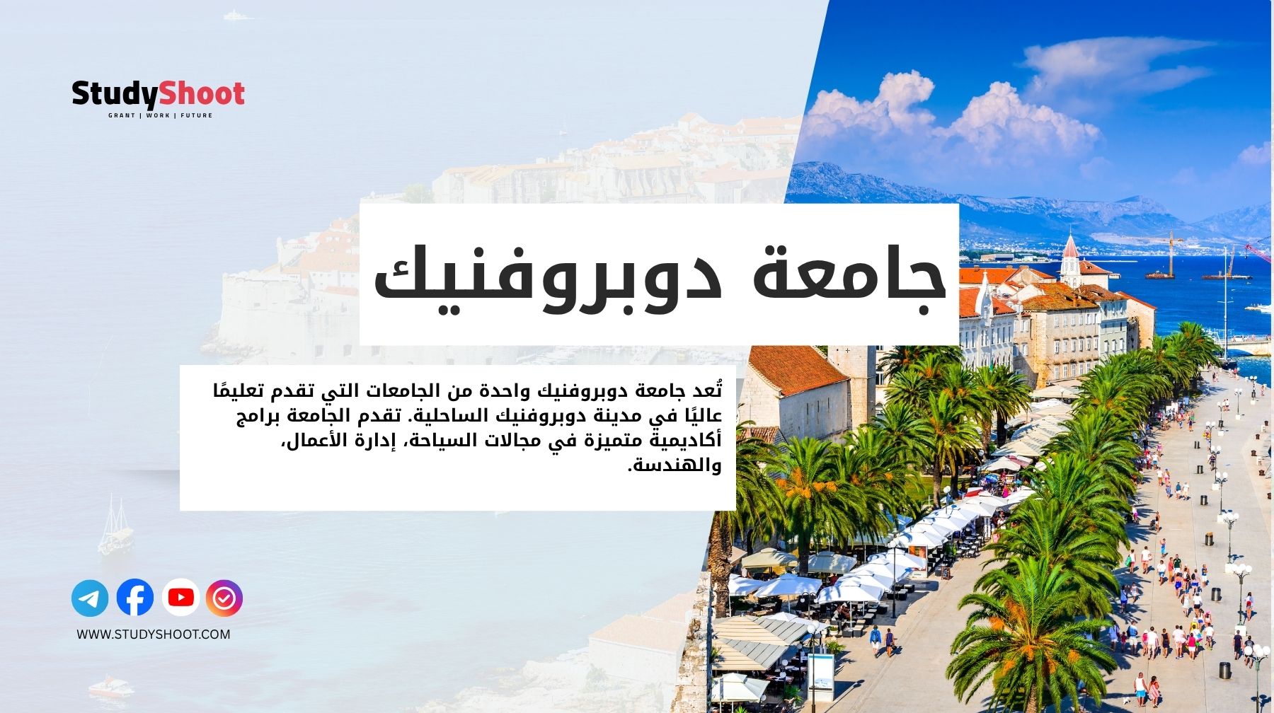 جامعة دوبروفنيك