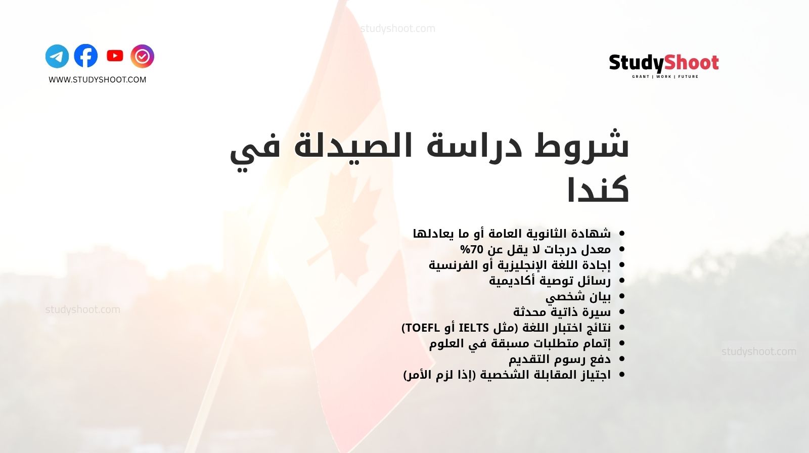 شروط دراسة الصيدلة في كندا