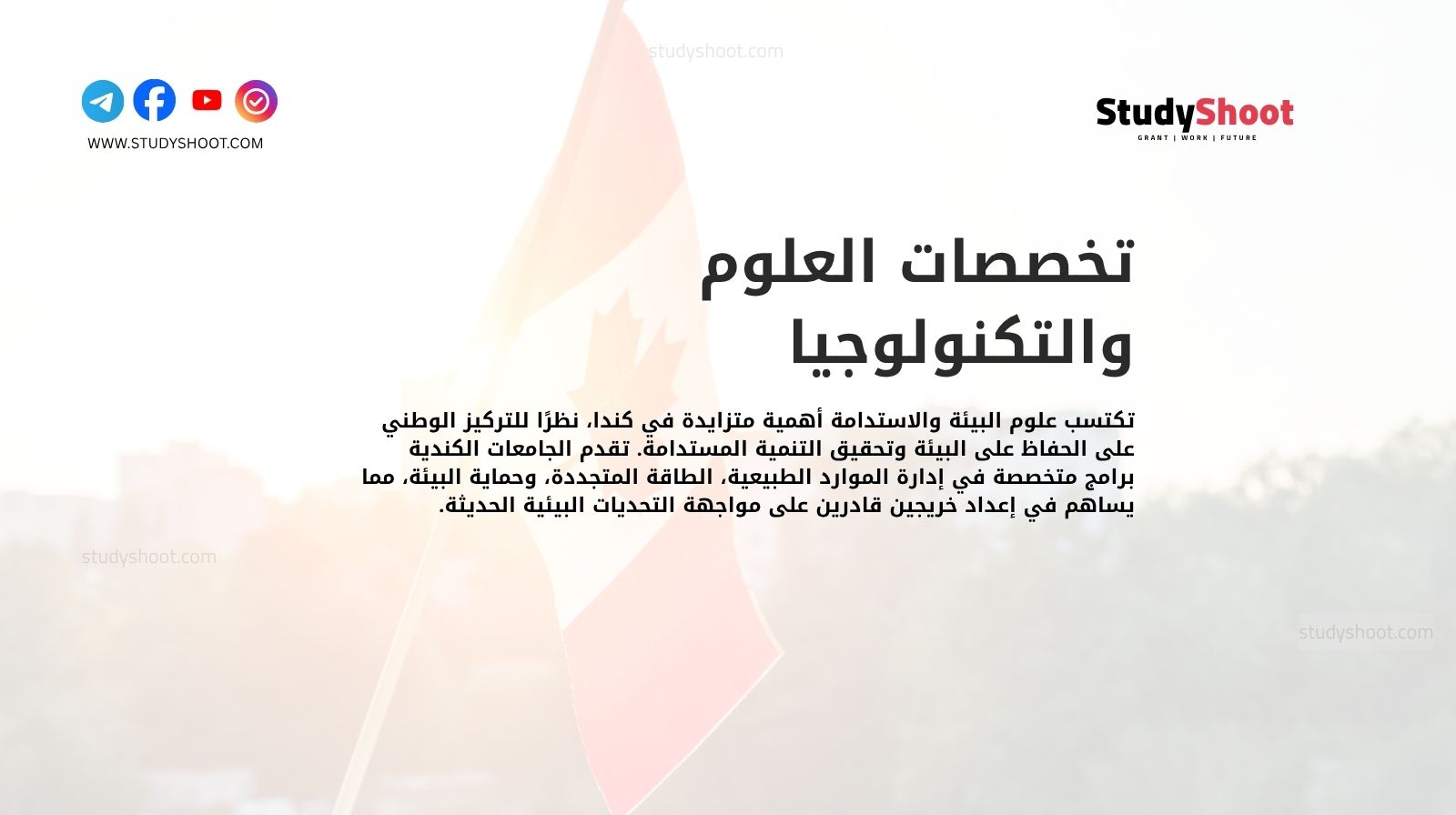 تخصصات العلوم والتكنولوجيا