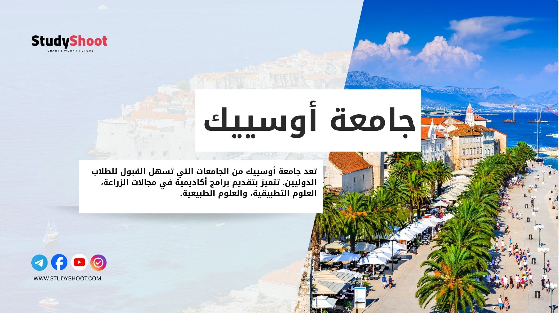 جامعة أوسييك