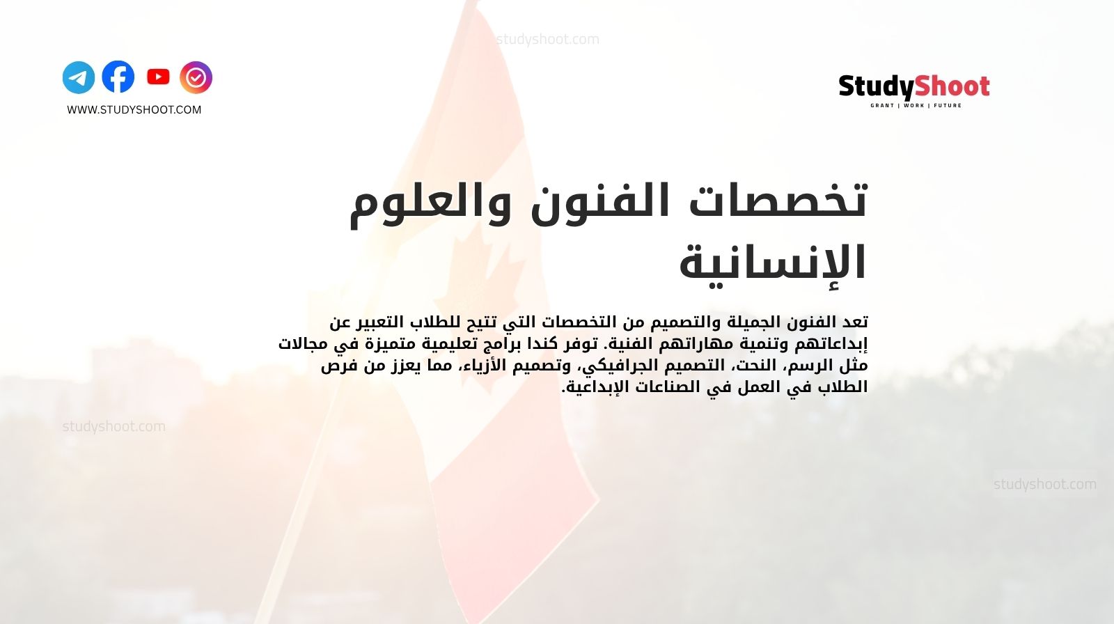 تخصصات الفنون والعلوم الإنسانية