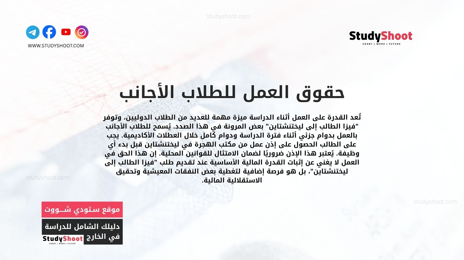 حقوق العمل للطلاب الأجانب