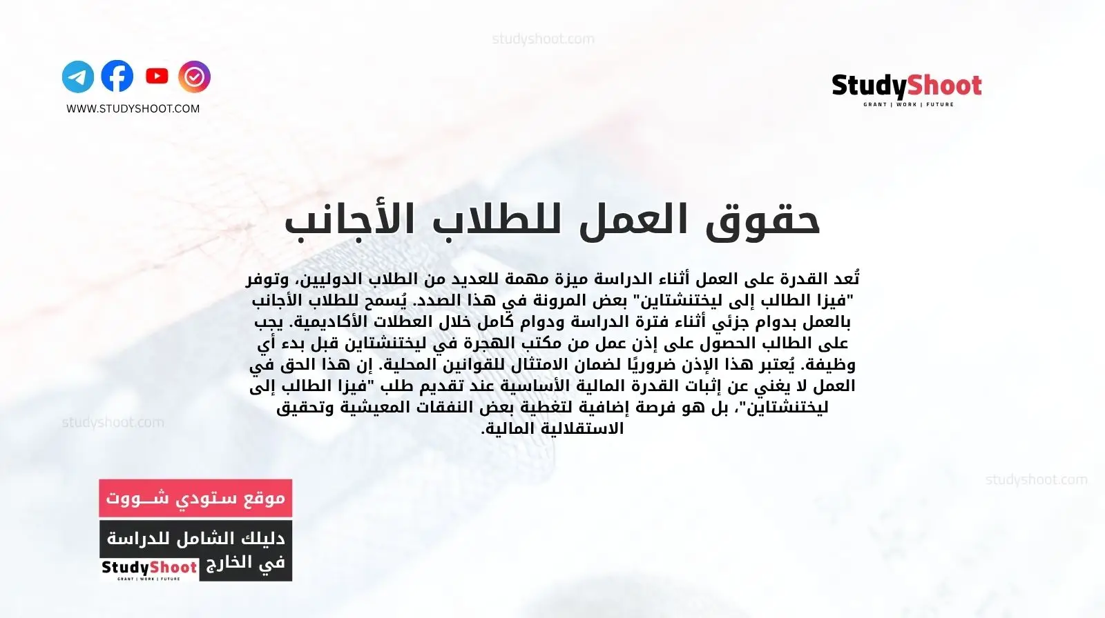 حقوق العمل للطلاب الأجانب